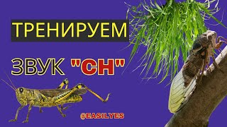 Произношение буквы CH в испанском языке