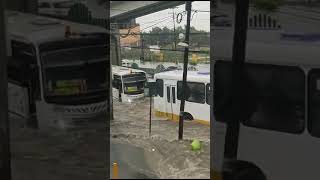 Por inundación en Coacalco cae mujer de la tercera edad #edomex #ecatepec #nezahualcóyotl #morena