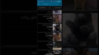 تعرف على أسعار الكلاب اسعار إبداء من 500جنيه