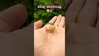 Snail is drifting slowly😳😂 🐌 #shorts #viralvideo #viralshorts #videos #snail l