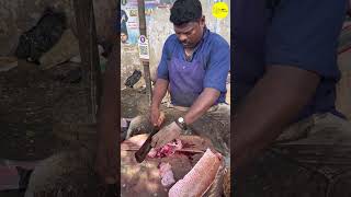 KASIMEDU SPEED SELVAM RED SNAPPER FISH CUTTING VIDEO / cutting focus #kasimeduselvam #bigfishcutting