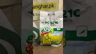 Canola 021 Ready for Shipping | complete review of HC 021C Canola Certus Seed | Evyol Group benefits