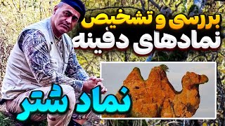 آموزش نماد شناسی باستانی🔎😎 کدوم نماد شتر گنج داره؟🧐🤑