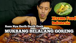 MUKBANG BELALANG GORENG RASA NYA ENAK BIKIN KETAGIHAN #belalanggoreng #mukbangbelalang #grasshopper