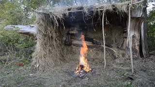 Бушкрафт, домик на дереве, приготовил и сьел , поход из собакой