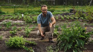 Шест ползи от плевелите / Чад Крузер