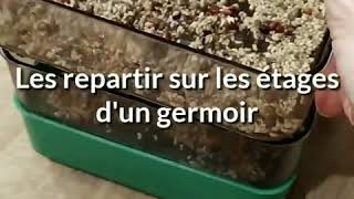 Comment faire pousser des graines germées ? Alfalfa & cie