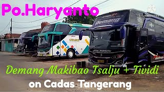 Review Po.Haryanto yang lagi viral || kembar ungu 3