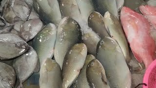 grabe! daming isda araw araw🐟🐬🥰@jonathansascvlog ,#subscribe #amazing #viral