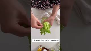 Salat richtig lagern🥬 #sirplus #nofoodwaste #längerfrisch #richtiglagern #foodhacks #salattipps