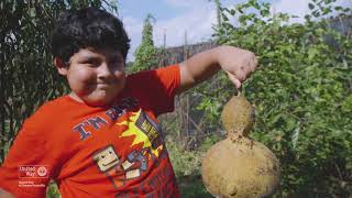 Food Access in Knoxville