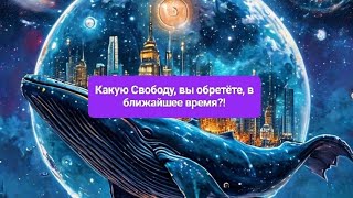 ☀️Какую Свободу, вы обретёте, в ближайшее время?!✨💫