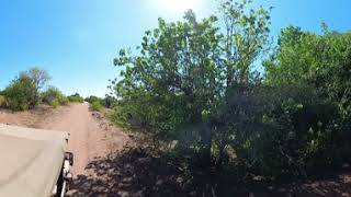 Driving in Chobe National Park Botswana 360