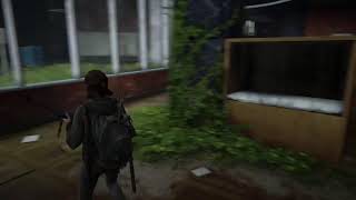 The Last Of Us: Part 2 - The Seraphites