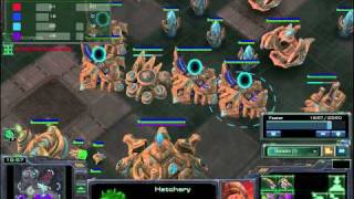 Starcraft II: 2v2 Anti-Cannon Rush part 2