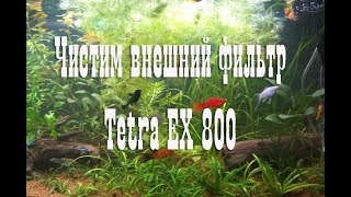 Чистим внешний фильтр Тетра ЕХ 800