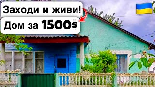 🇺🇦 Заходи и живи! Дом в селе за 1500$ Продажа недвижимости за копейки! Всё есть Уютное тихое село!