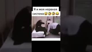 #shorts смешное видео - нервная система #video