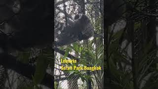 Lemuria - Safar Park | Bangkok