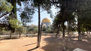 The west side of the Dome of the Rock in Jerusalem.耶路撒冷金顶清真寺的西侧 20241015