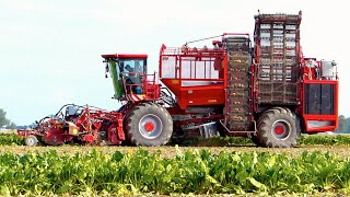 HOLMER Exxact T4.30 6-row sugar beet harvester | Suikerbieten rooien | Loonbedrijf Breure