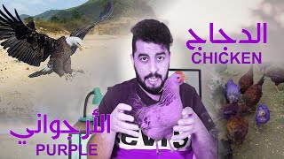 الدجاج الأرجواني اللون PURPLE CHICKENS