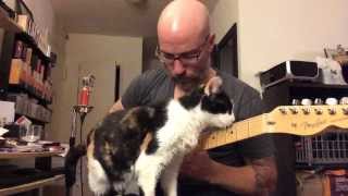 Improv with the Cat