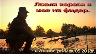 Ловля карася на фидер г  Актобе р  Илек май 2018г