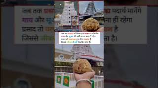 तिरुपति बालाजी मंदिर में लड्डू में मिलावट #tirupati #tirupatibalaji #tirupatiladducontroversy#prasa