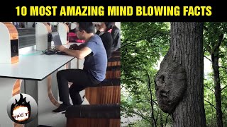 10 Most Amazing Mind Blowing Facts