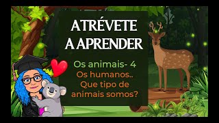 OS ANIMAIS 4  QUE TIPO DE ANIMAIS SOMOS OS SERES HUMANOS 2