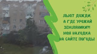 💦Льют дожди. А где урожай земляники?! Моя находка на сайте погоды