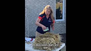 Straw Bale Gardening - Conditioning Your Bale