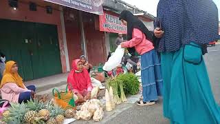 Belanja sayuran di Pasar sentral Masamba (@msbtb6468)