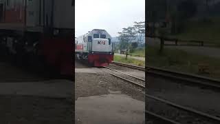 kereta goyang kayak orang  utan