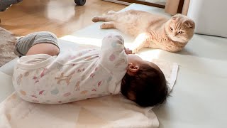 The baby practices turning over to touch the cat