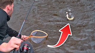 Catching Big Wild Brown Trout in a River | Best Techniques and Fishing Gear