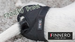 FINNERO Brava heat pants for dogs