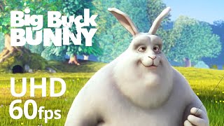 Big Buck Bunny the Movie | Animated Short Film