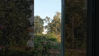 відеоА538погляд з вікнаЩоденна думка196a view from the windowDaily thought #nature #107#humour#funny