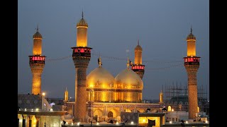 Shahdat Imam Muhammad Taqi A.S