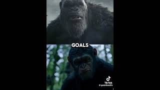 Kong vs César(In Terms de Writing)#edit#shortsvideo#debate#planetadosmacacos#kong#kingkong#monkeys