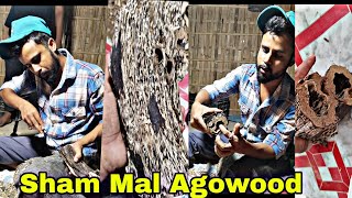 show pis mal agowood 2lak 80hajar price mal ikbalvlogs50