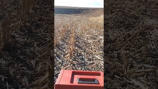 off-roading in a cornfield #offroad #short #tiktok