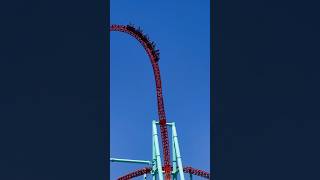 Knott’s Berry Farm #rollercoaster #knottsscaryfarm #socal #buenapark #amusementpark #summervibes