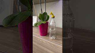 Watering Bottle Cap | Agners | 3D Printing Ideas