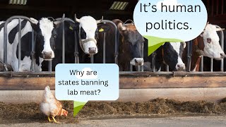 What Food Bans in United States and Why?