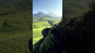 Indah Banget!!! View dari Gunung Cilik Wonosobo #shorts