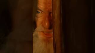 The Fellowship of the Ring “You Shall Not Pass” #lotr #gandalf #movies #trending #viral #memes