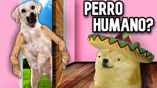 ESA COSA NO ES MI PERRO, ES UN HUMANO? - Hilos con cheems